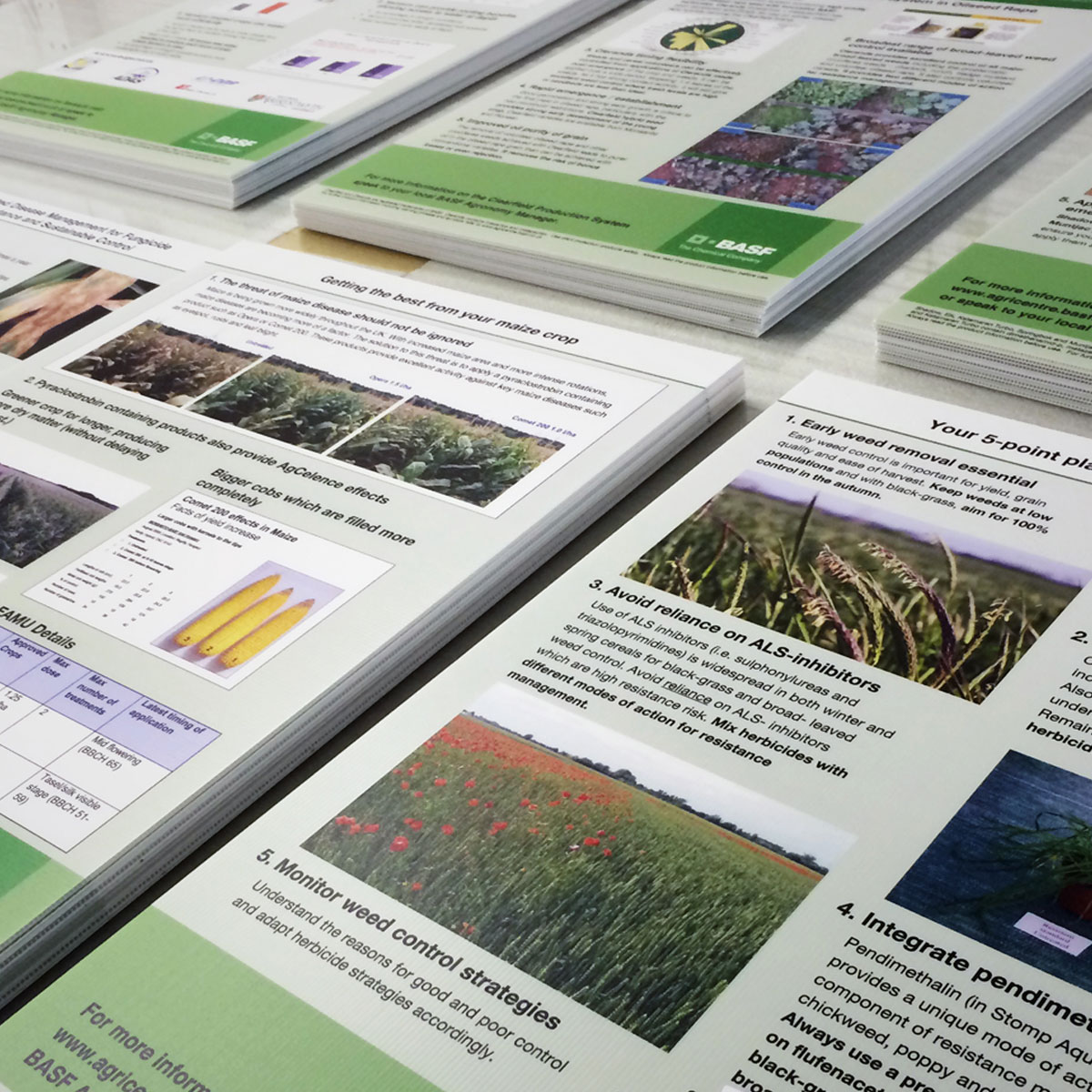 Large Format Poster Large Format Poster