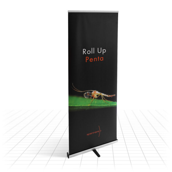 Penta Roll Up Banner (60cm)
