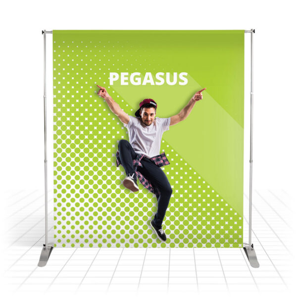 Pegasus