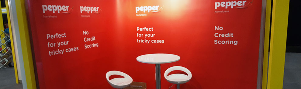 Case Study : Pepper Home Loans