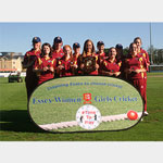 Pop Out Banner [Essex Cricket]