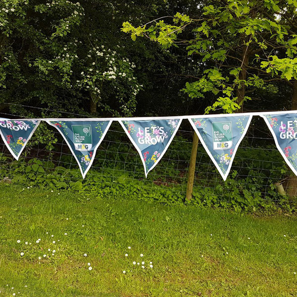 Bunting